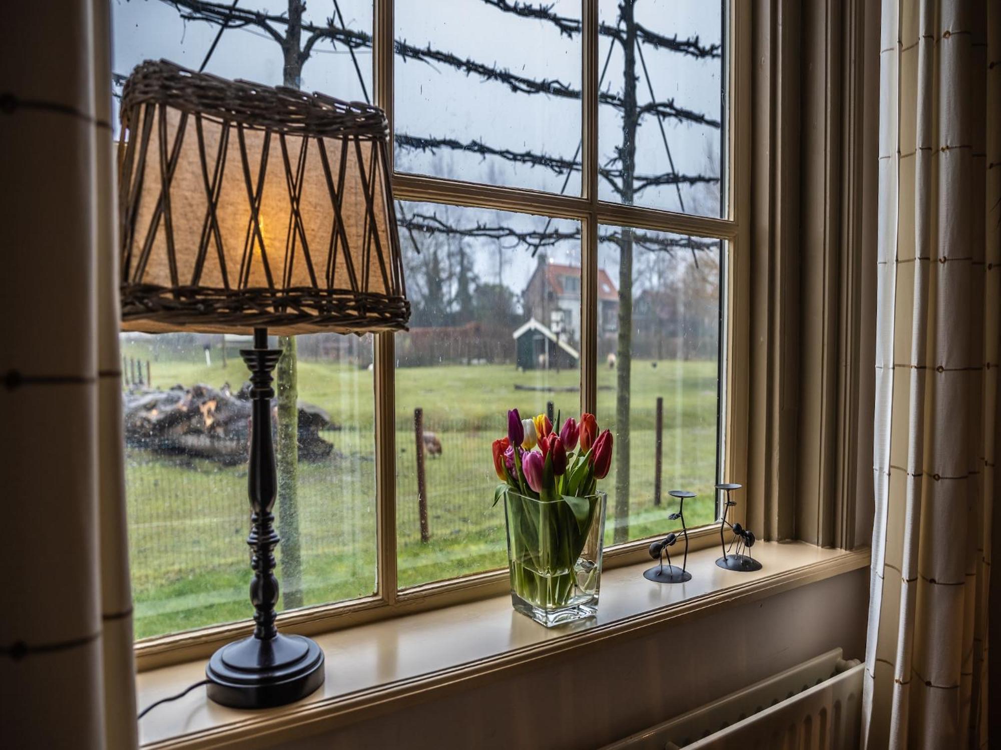 Cozy Holiday Home In Vrouwenpolder Close To The Beach Eksteriør bilde